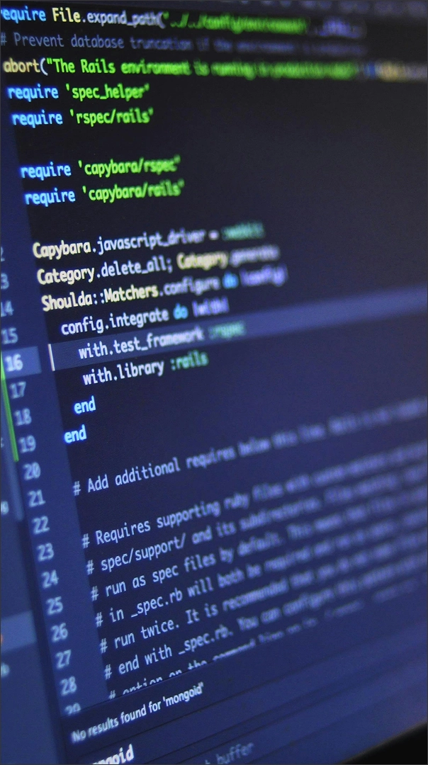 WordPress / Shopify Development